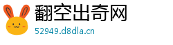 翻空出奇网